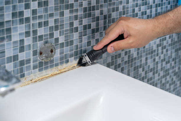 Best Professional Mold Removal  in Mountain Road, VA